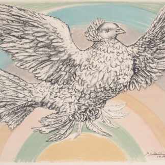 Pablo Picasso ( 1881 – 1973 ) – Colombe Volant – hand-signed Lithograph on Arches – 1952