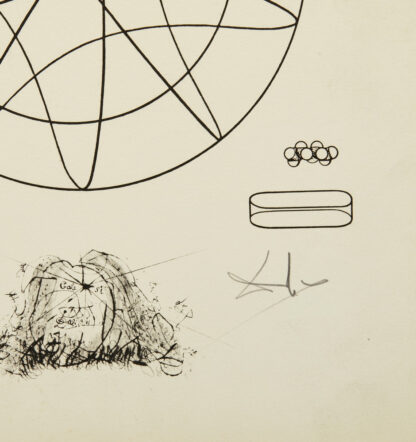 Salvador Dalì (1904–1989) - IMMORTALITE' STEREOSCOPIQUE ET STEREOCHIMIQUE DE LA MONARCHIE - Heliogravure, drypoint - 1973 - Image 4