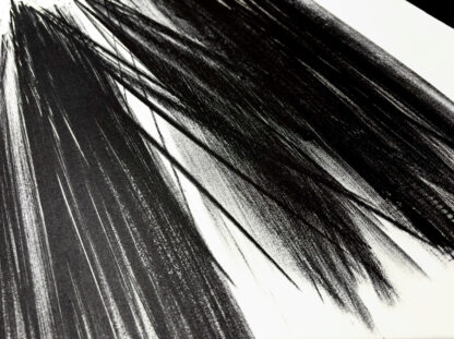 Hans Hartung (1904 - 1989) - L 105 - Lithograph on Arches paper - 1963 - Image 5