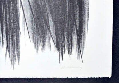 Hans Hartung (1904 - 1989) - L 105 - Lithograph on Arches paper - 1963 - Image 7