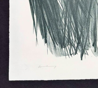 Hans Hartung (1904 - 1989) - L 106 - Lithograph on BFK Rives paper - 1963 - Image 5